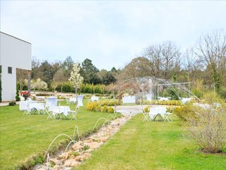 Area of 1001 roses