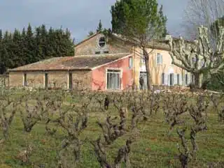 Domaine Régis Frères