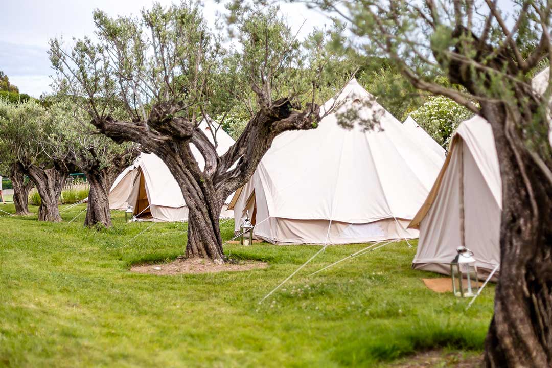 Garanties wedding camping anticipation securite - Garanties