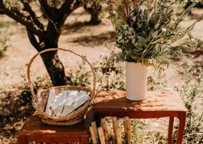 mariage champetre parc naturel alpilles