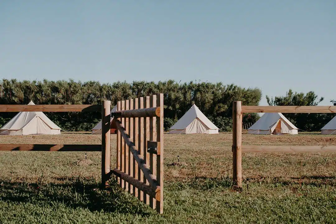 mariage extérieur en camargue