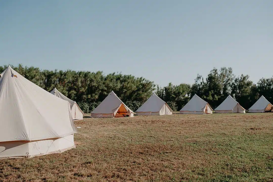 mariage plein air camargue