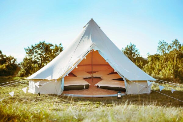 location tipi amical