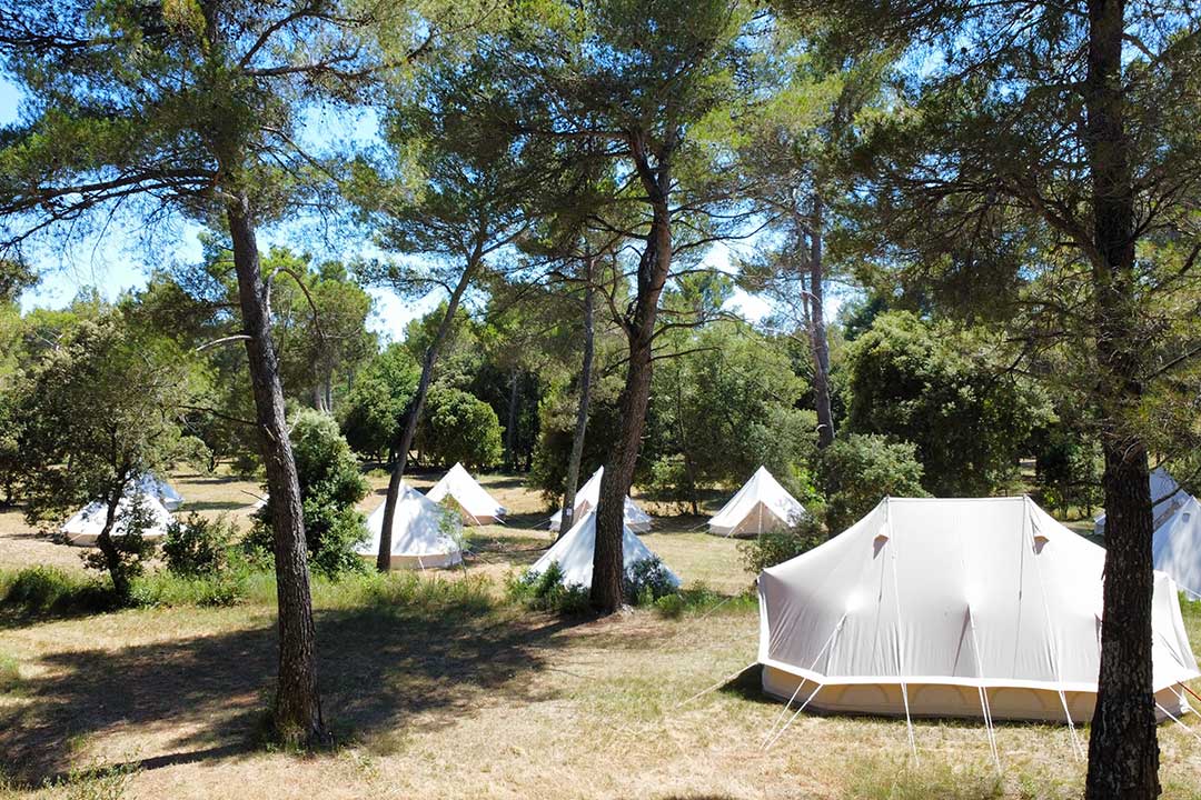location tente mariage domaine danjean